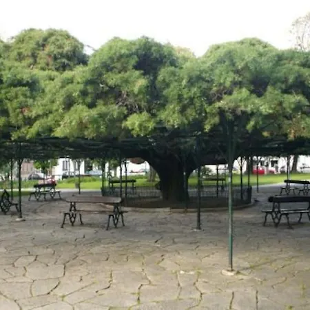 Windows Of Bica-great View Over River Lisboa
